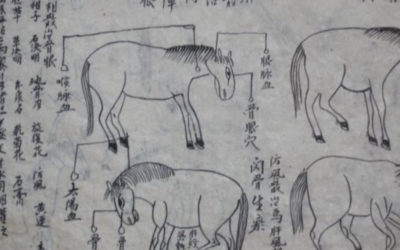 The Element of Elements: The Theory and History Behind Chinese Medicine